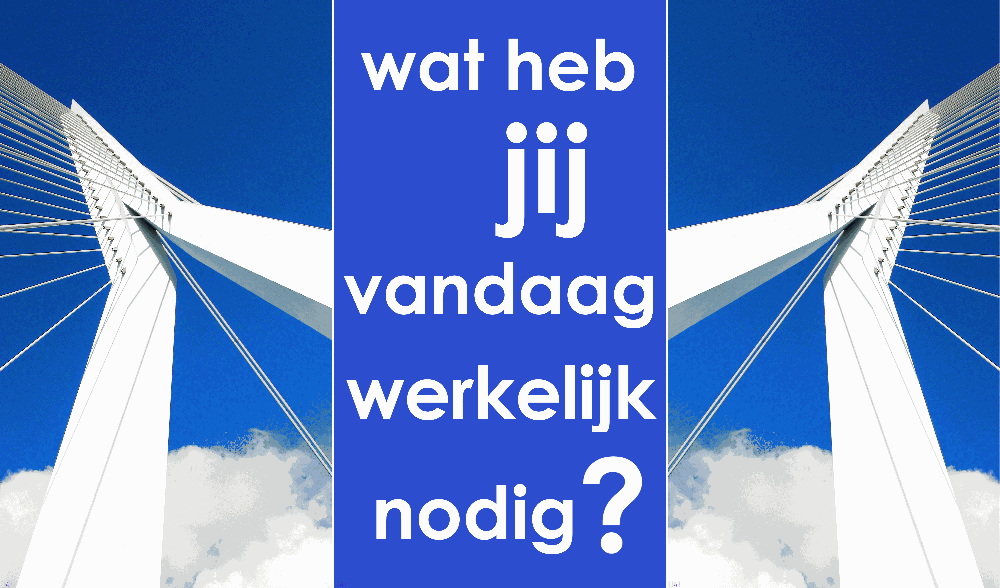 Wat heb JIJ vandaag WERKELIJK nodig? / What do YOU REALLY need today? - Leidi Haaijer ©2020 The Netherlands