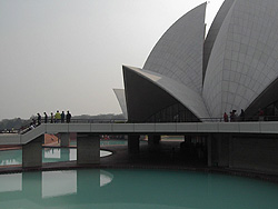 The water is expressing the leaves