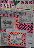 News clippings on patterns & structures